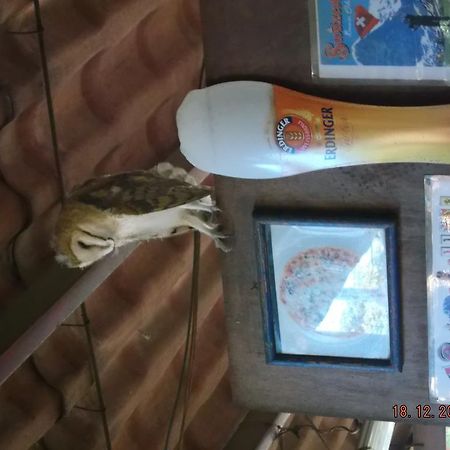 Margaritas Charlys-Bungalows酒店 外观 照片