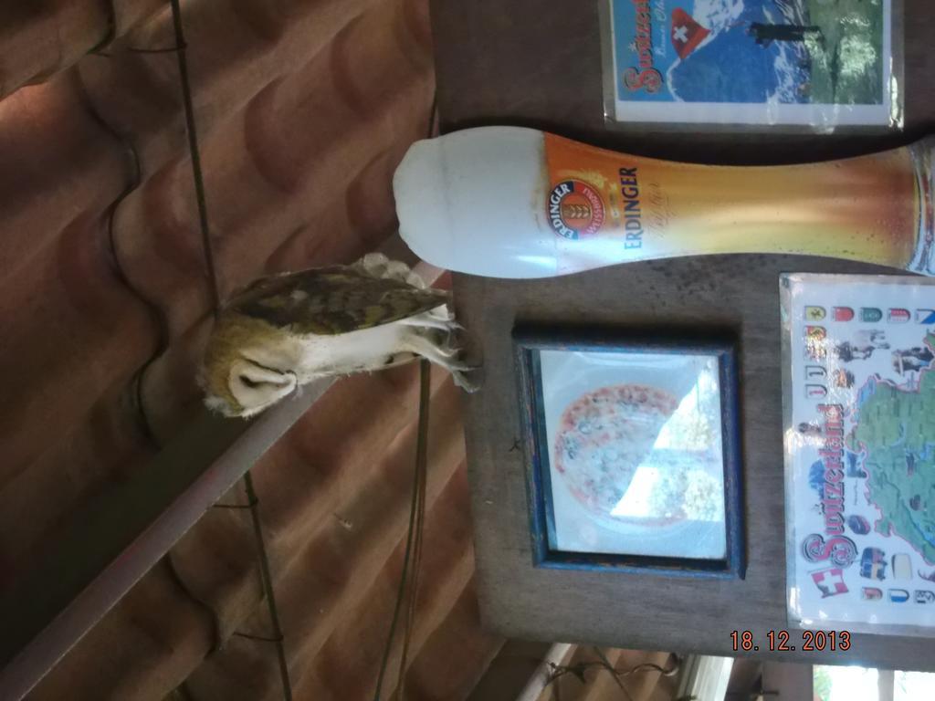 Margaritas Charlys-Bungalows酒店 外观 照片